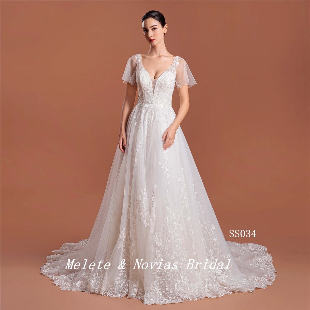 Elegant V Neckline Wedding Dress Short Sleeves Illusion Lace A Line Bridal Gown